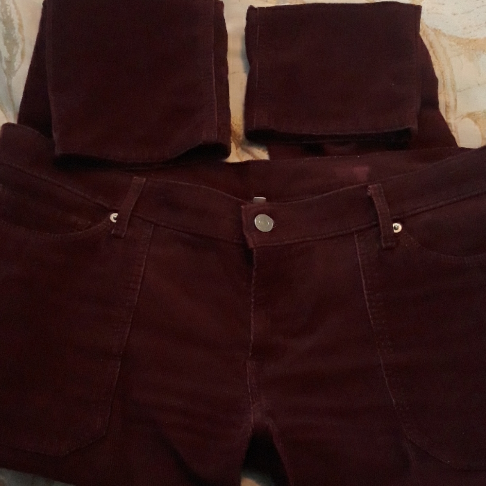 Levi - Picture 4 of 4